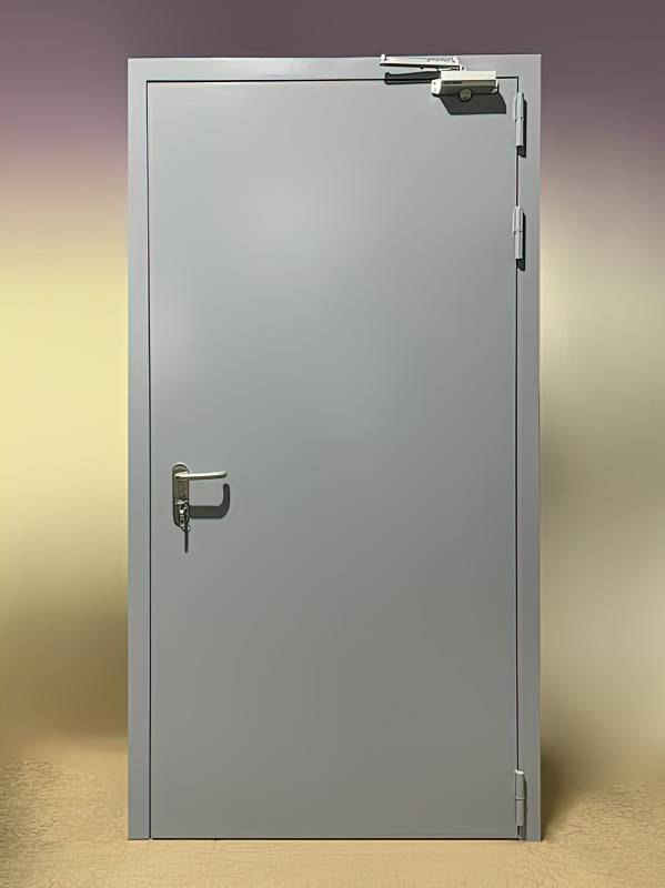 Глухая дверь с доводчиком